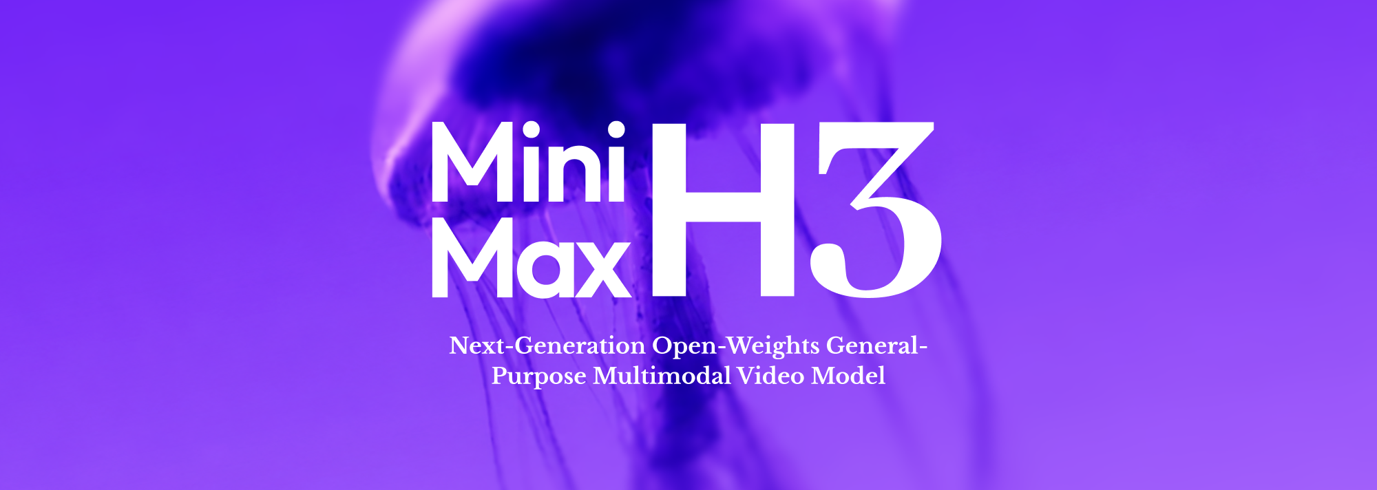 Minimax H3
