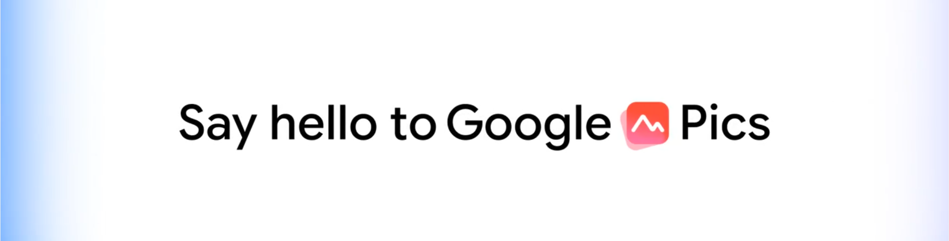 Google Pics